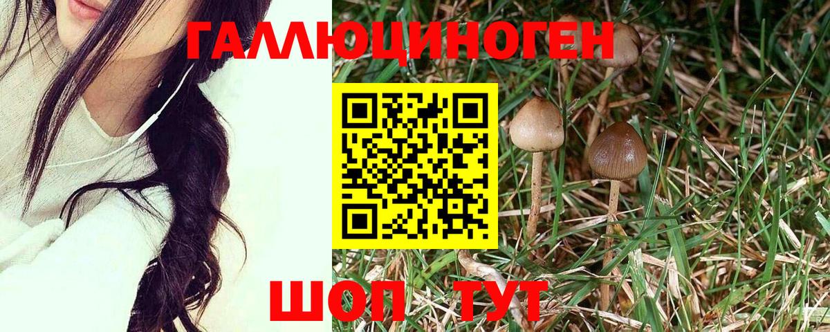 Псилоцибиновые грибы мицелий  магазин  наркотиков  Гуково  Вход с VPN 